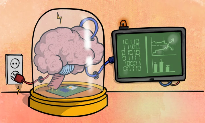 Software sebagai otak komputer.