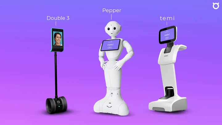 Diagram hardware, software, dan brainware bekerja bersama.